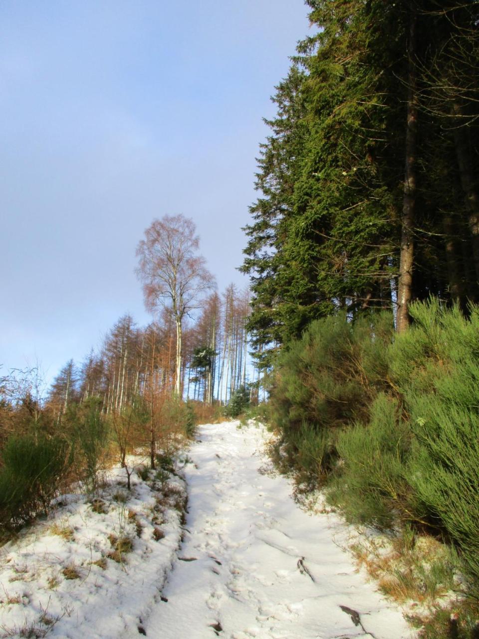 Pitlochry Youth Hostel Buitenkant foto